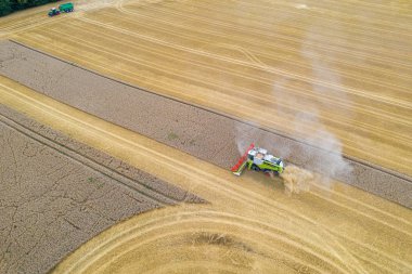 Bir Hasat Çırçır tahıl hasat sırasında bir alanda tahıl biçer