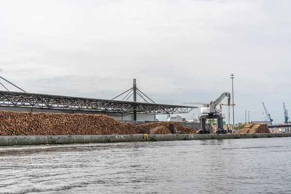 Enormi pile di tronchi d'albero si trovano in un porto di trasbordo e sono l — Foto Stock