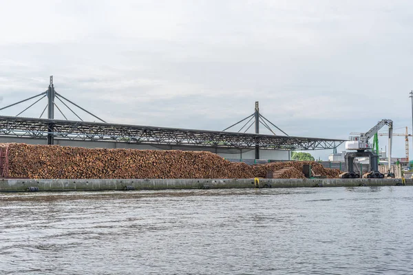 Enorme stapels boomstammen liggen in een overslaghaven en zijn l — Stockfoto