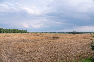 kare saman balyaları tahıl hasat sonra bir alanda yalan