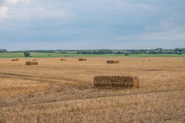 kare saman balyaları tahıl hasat sonra bir alanda yalan