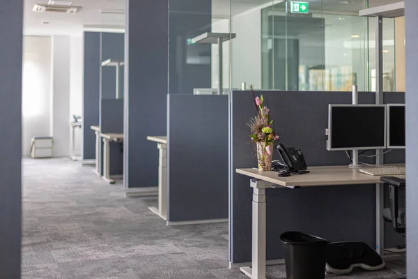 Desks are located in a modernly furnished office — Stock Photo, Image