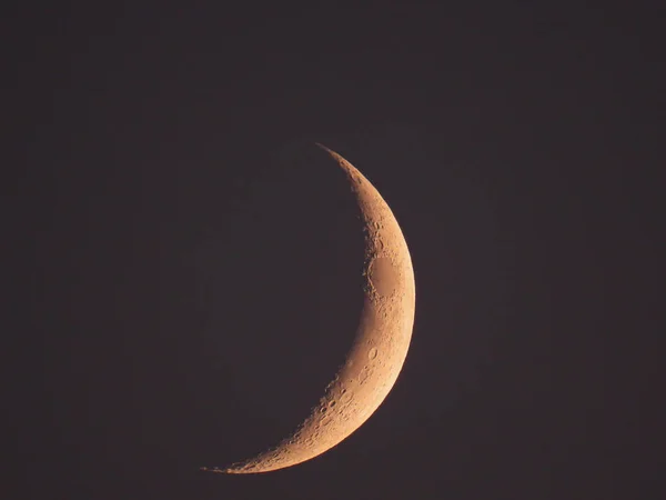 an increasing crescent moon stands in the evening sky