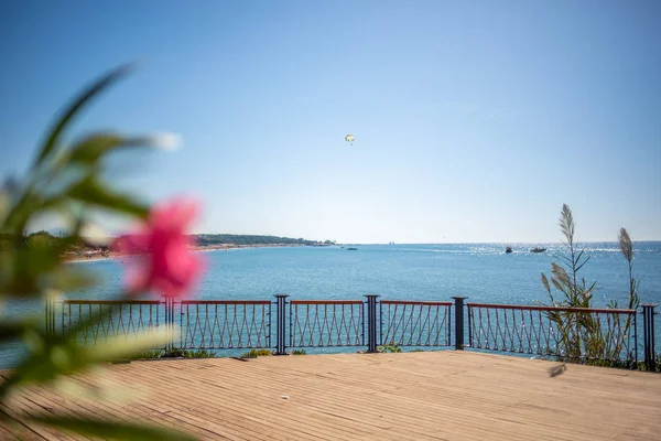 Op de voorgrond is een oosterse plant en op de achtergrond is — Stockfoto