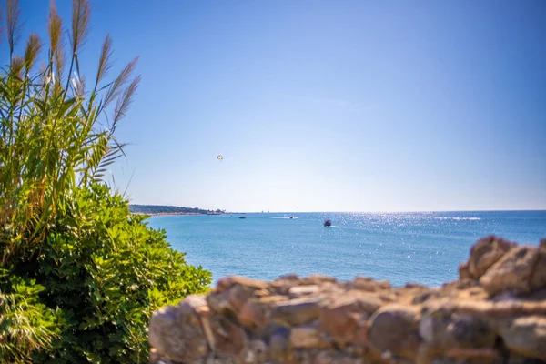 Op de voorgrond is een oosterse plant en op de achtergrond is — Stockfoto