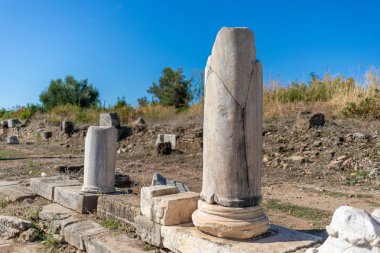 Yan 'ın eski harabelerinde birçok sütun ve süs eşyası var.