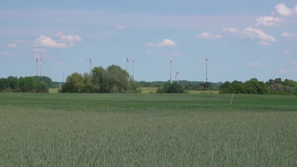 Een Groen Tarweveld Zomer Windturbines Achtergrond — Stockvideo