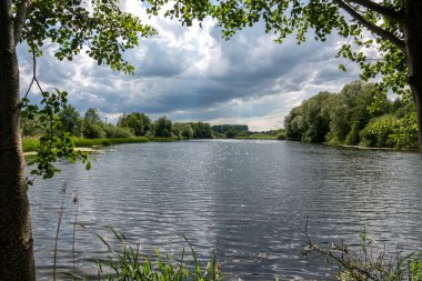 Bir gölet ağaçlar ve çalılarla çevrilidir ve gökyüzü bulutludur.