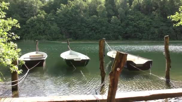Três Barcos Remo Ancorados Lado Lado Margem Lago — Vídeo de Stock