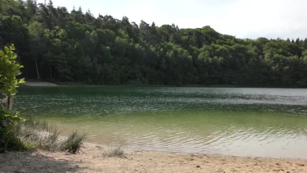 Agua Clara Fluye Tranquilamente Largo Orilla Lago — Vídeos de Stock