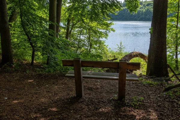 in a forest there is a park bench on the shore of a lake