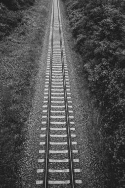 Railway tracks on a railway track bed lead through the picture