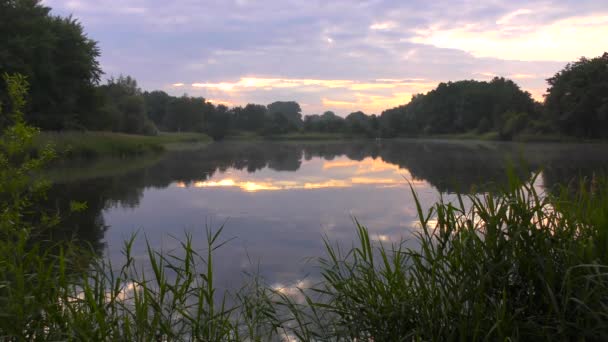 夏日日出时平静的湖面 — 图库视频影像