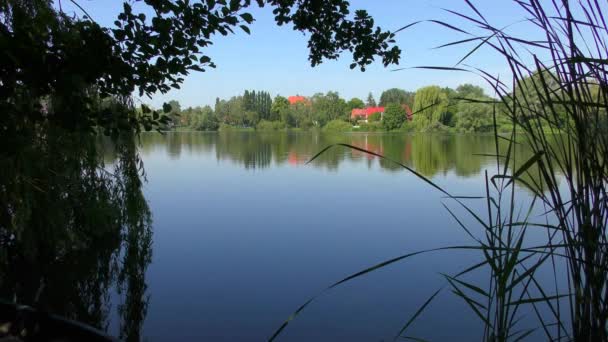 Malé Jezero Obklopené Stromy Krásném Letním Počasí — Stock video
