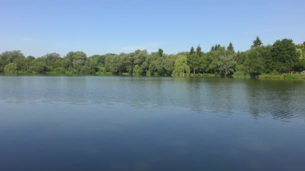 Een Klein Meer Omringd Door Bomen Bij Mooi Zomerweer — Stockvideo