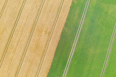 Tahıl tarlasından alınmış bir dron fotoğrafı paralel traktör izleri gösteriyor.