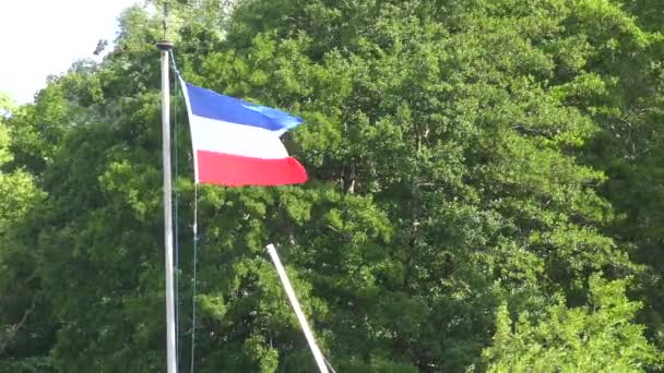 Флаг Шлезвига Гольштейна Дует Ветру Флагштоке — стоковое видео