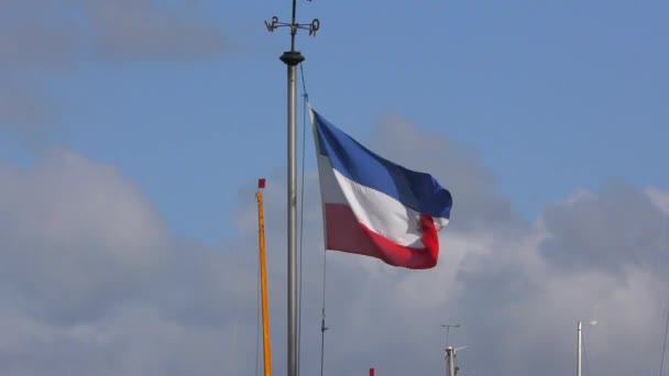 シュレースヴィヒ ホルシュタインの旗が旗竿に風に吹かれて — ストック動画