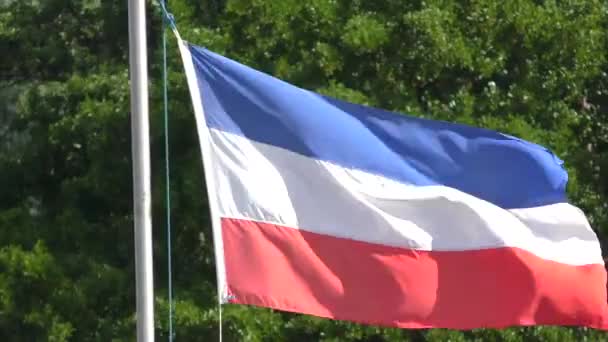 Flag Schleswig Holstein Blows Wind Flagpole — Stock Video