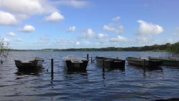 Берегу Озера Пришвартованы Несколько Гребных Лодок — стоковое видео