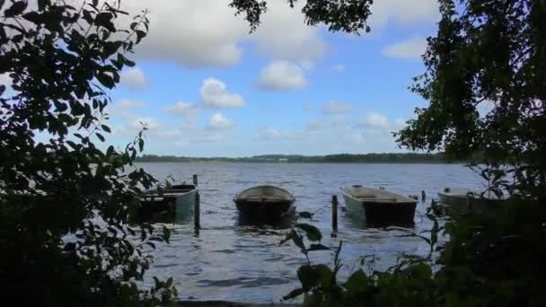 Margem Lago Alguns Barcos Remo Estão Ancorados Lado Outro — Vídeo de Stock