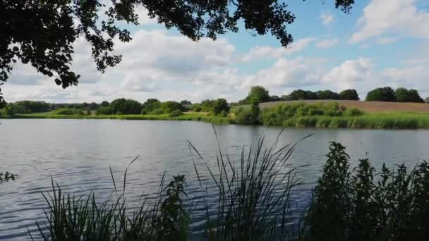 Mecklenburg Landskap Med Liten Sjö Blå Himmel Och Vita Moln — Stockvideo