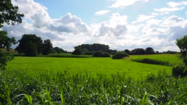 Paysage du Mecklembourg avec prairies vertes, ciel bleu et nuages blancs