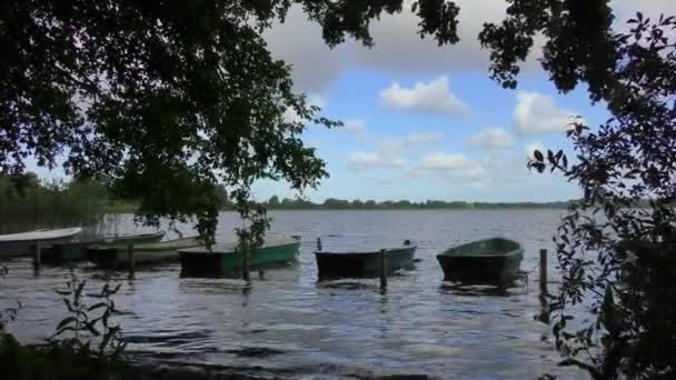 Sur Rivage Lac Des Bateaux Rames Sont Amarrés Les Uns — Video