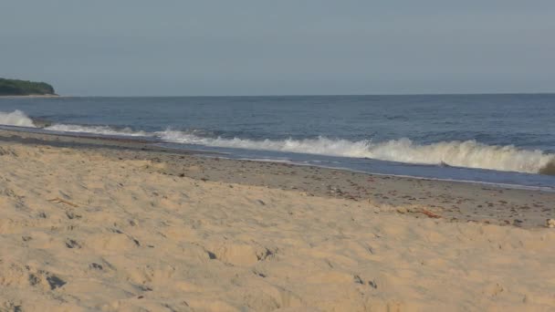 Plage Mer Baltique Peu Après Lever Soleil — Video