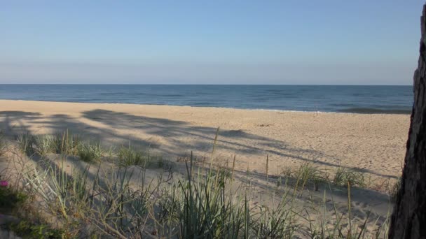 Plage Mer Baltique Peu Après Lever Soleil — Video