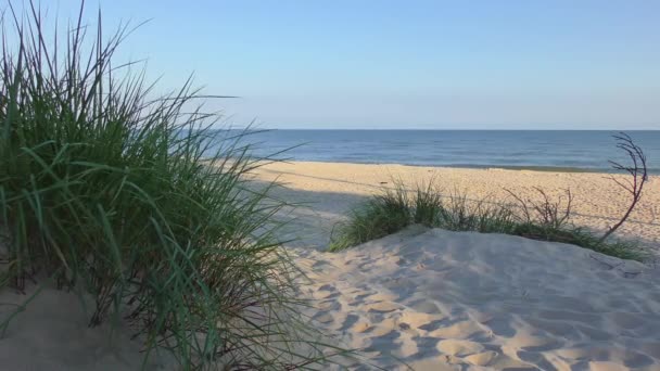 Παραλία Της Βαλτικής Θάλασσας Λίγο Μετά Την Ανατολή Του Ηλίου — Αρχείο Βίντεο