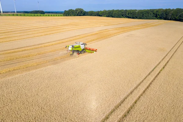 Combine Harvests Field Grain Fine Weather — Stock Photo, Image