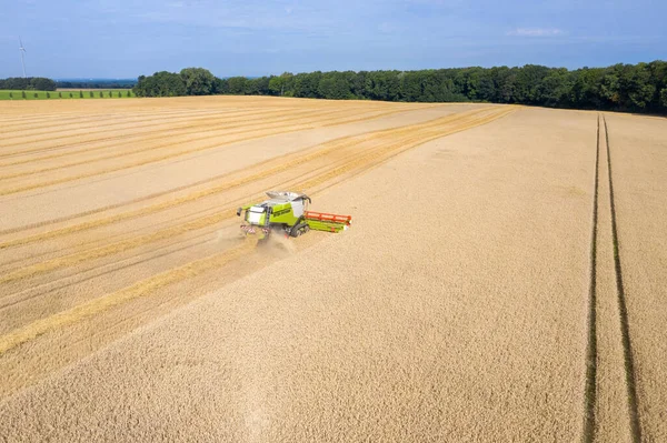 Una Cosechadora Cosecha Campo Grano Buen Tiempo — Foto de Stock