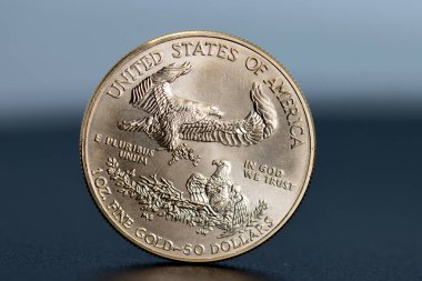 Bir ons ağırlığında tek bir altın doların yakın plan çekimi.