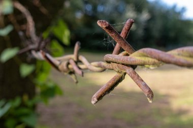Beton bir sütundaki paslı dikenli telin yakın çekimi