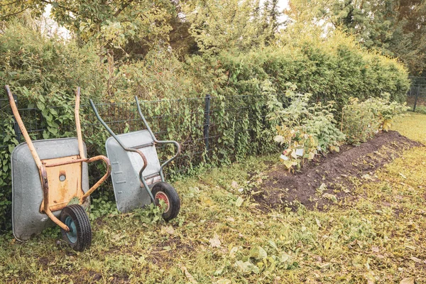 Lado Remendo Vegetal Carrinhos Mão Estão Lado Lado Jardim — Fotografia de Stock