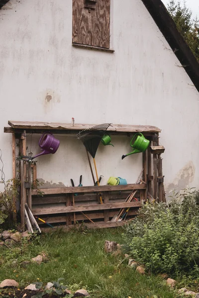 Velké Hejno Ptáků Přeletí Nad Baltským Mořem — Stock fotografie