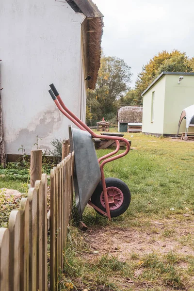 Velké Hejno Ptáků Přeletí Nad Baltským Mořem — Stock fotografie