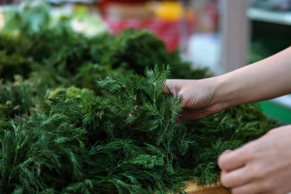 Female hands choose bunch of dill in a supermarket.