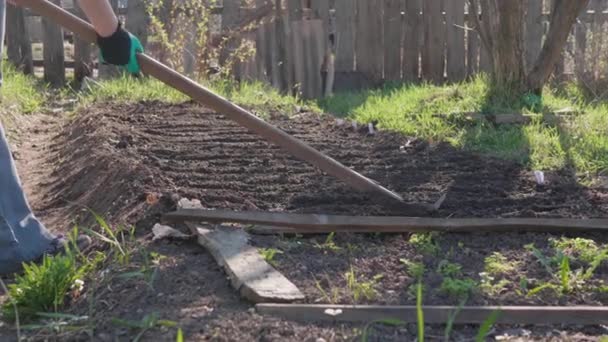 The farmer with the hoe falls asleep furrows with seeds spring day. — Stock Footage The farmer with the hoe falls asleep furrows with seeds spring day. Royalty Free Stock Video