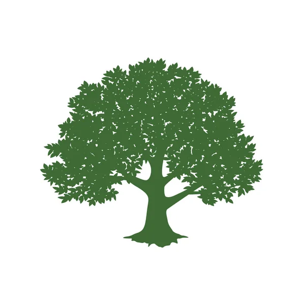 Conception Arbre Vert Illustration Vectorielle Nature Design Logo Écologique Design — Image vectorielle