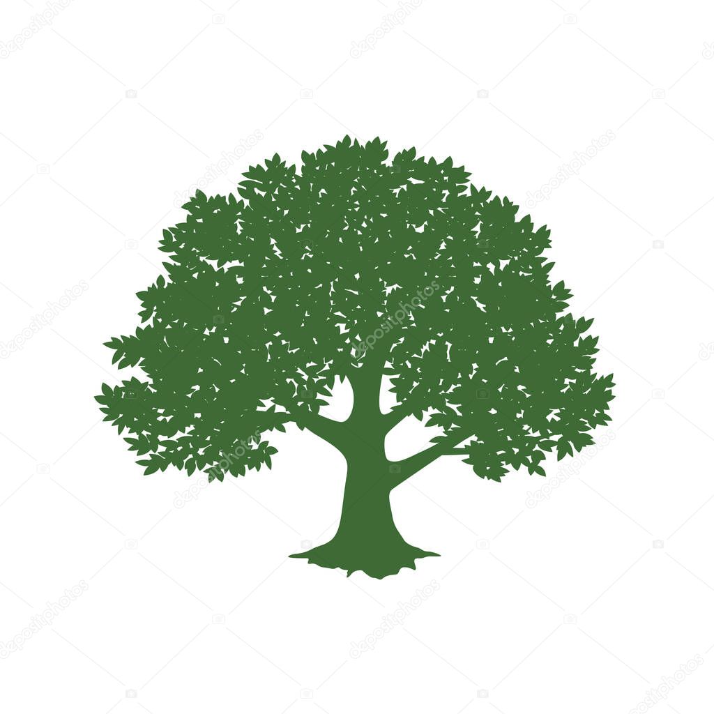Green tree design. Vector illustration of nature. Eco logo design. Abstract organic design. Vector silhouette of a tree.