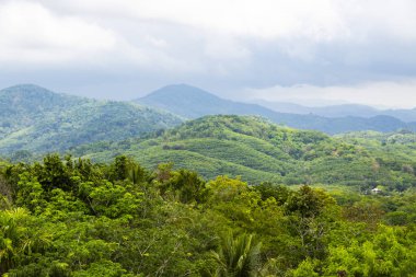 Phuket 'teki dağların güzel manzarası