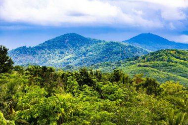 Phuket 'teki dağların güzel manzarası