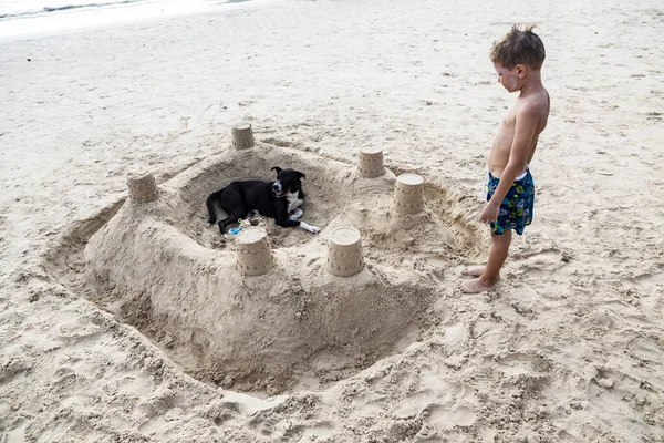 Ein Hund und ein Junge in einer Sandburg — Stockfoto