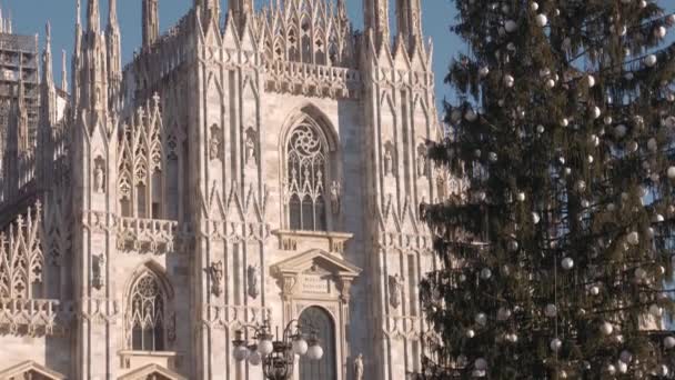Primer plano del árbol de Navidad y Catedral Duomo de Milán — Vídeo de stock
