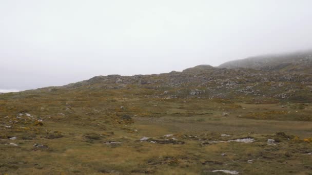 Mistige heuvels en moerassen in Connemara, Ierland — Stockvideo