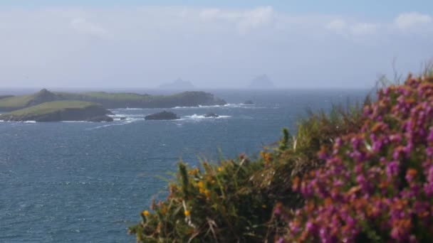 Скелліг острови, Ірландія. Розташування фільму Зоряні війни. — стокове відео