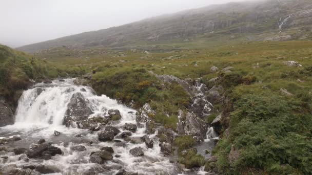 Mountain creek tot oprichting van schot met kleine waterval — Stockvideo