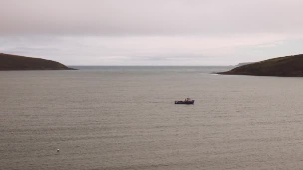 Barco pesquero cruzando una bahía seguido de gaviotas — Vídeo de stock